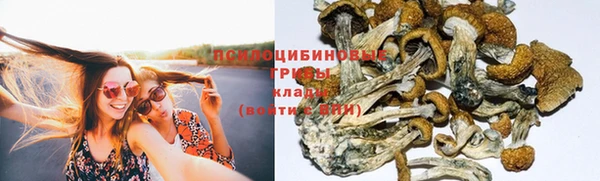 СК Алексеевка
