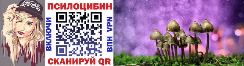 купить наркоту  Находка  Псилоцибиновые грибы Psilocybine cubensis 