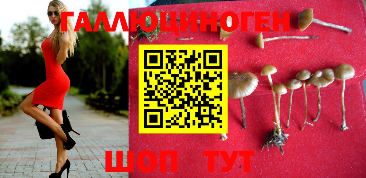 Находка  Галлюциногенные грибы мухоморы  Вход с VPN 
